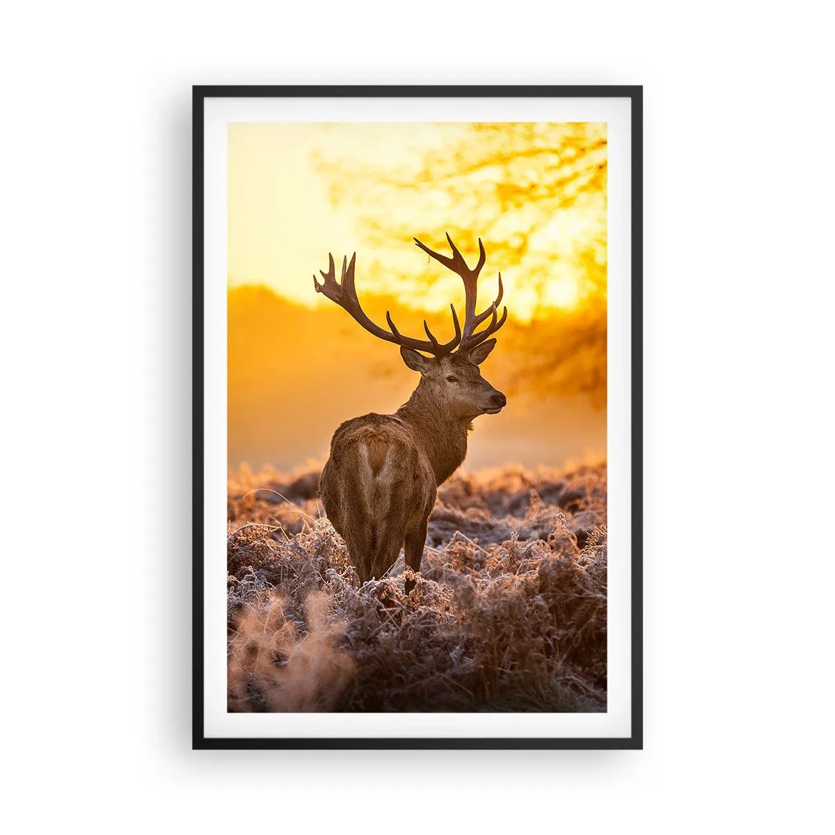 Poster in black frame - King of Autumnal Forest - 61x91 cm