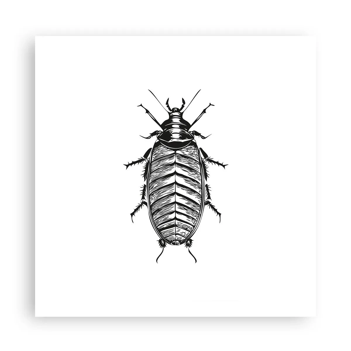 Poster - What a Specimen - 60x60 cm