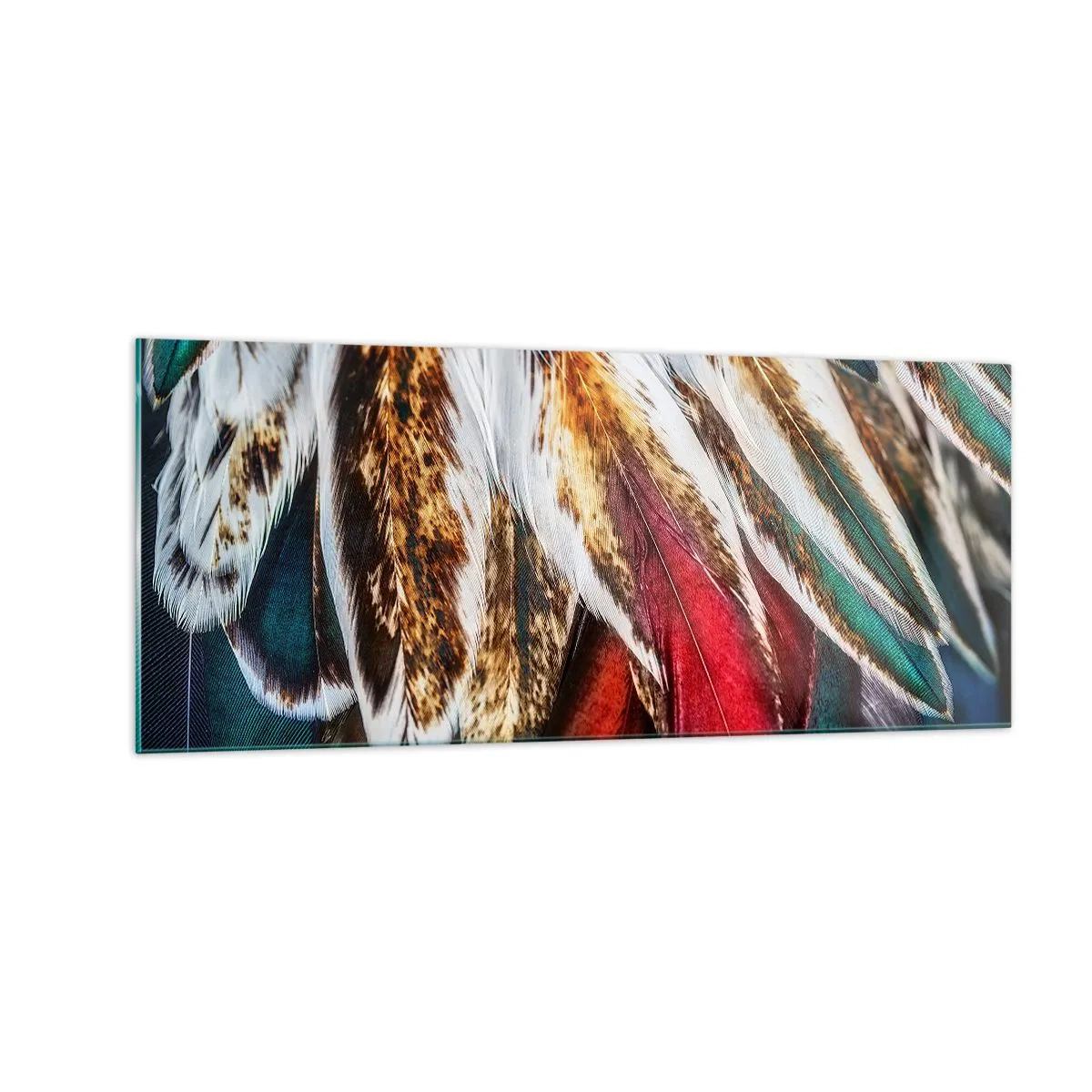 Glass picture - Secrets of Flight - 100x40 cm