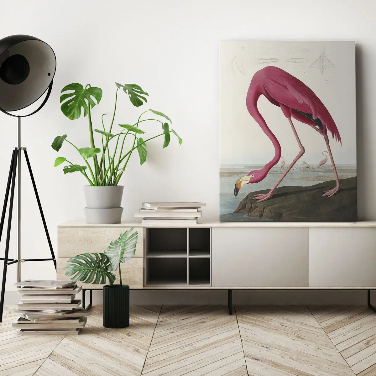 Canvas picture - Curious Creature - 70x100 cm