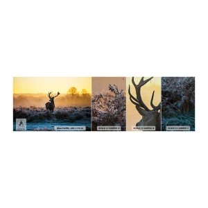 Photo Wallpaper Sample Premium Canvas - Crowned in Its Kingdom - Landscape, Animals, Deer - 100x30 cm
