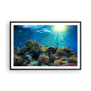 Poster in black frame - Underwater Treasures - 91x61 cm