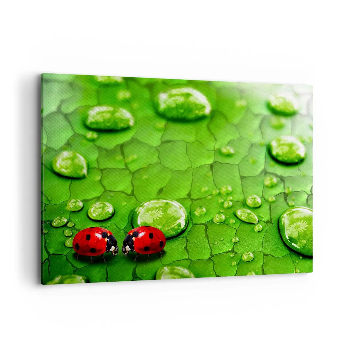 Canvas picture - Encounter in Green - 100x70 cm