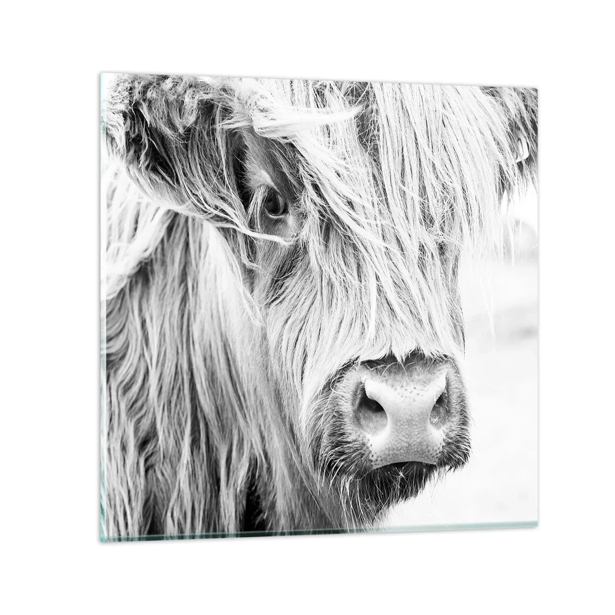 Glass picture - Scottish Wilderness - 60x60 cm