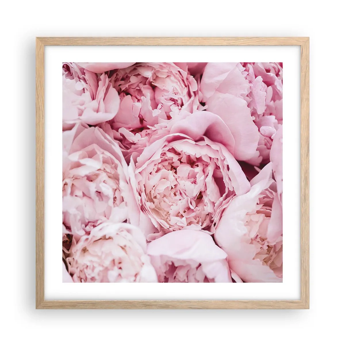 Poster in light oak frame - Cuddly and Fragrant - 50x50 cm