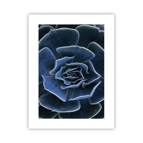 Poster - Flower of the Desert - 30x40 cm