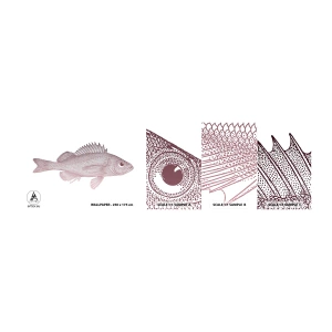 Photo Wallpaper Sample Self-Adhesive Deluxe Sticker - Big-eyed Fish - Fish, Underwater, Minimalistic - 100x30 cm