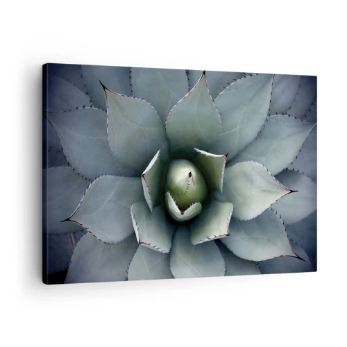 Canvas picture - Close-up of an agave rosette in delicate shades of green - 70x50cm - Attracts and Warns - Modern wall decoration for the living room and bedroom ARTTOR