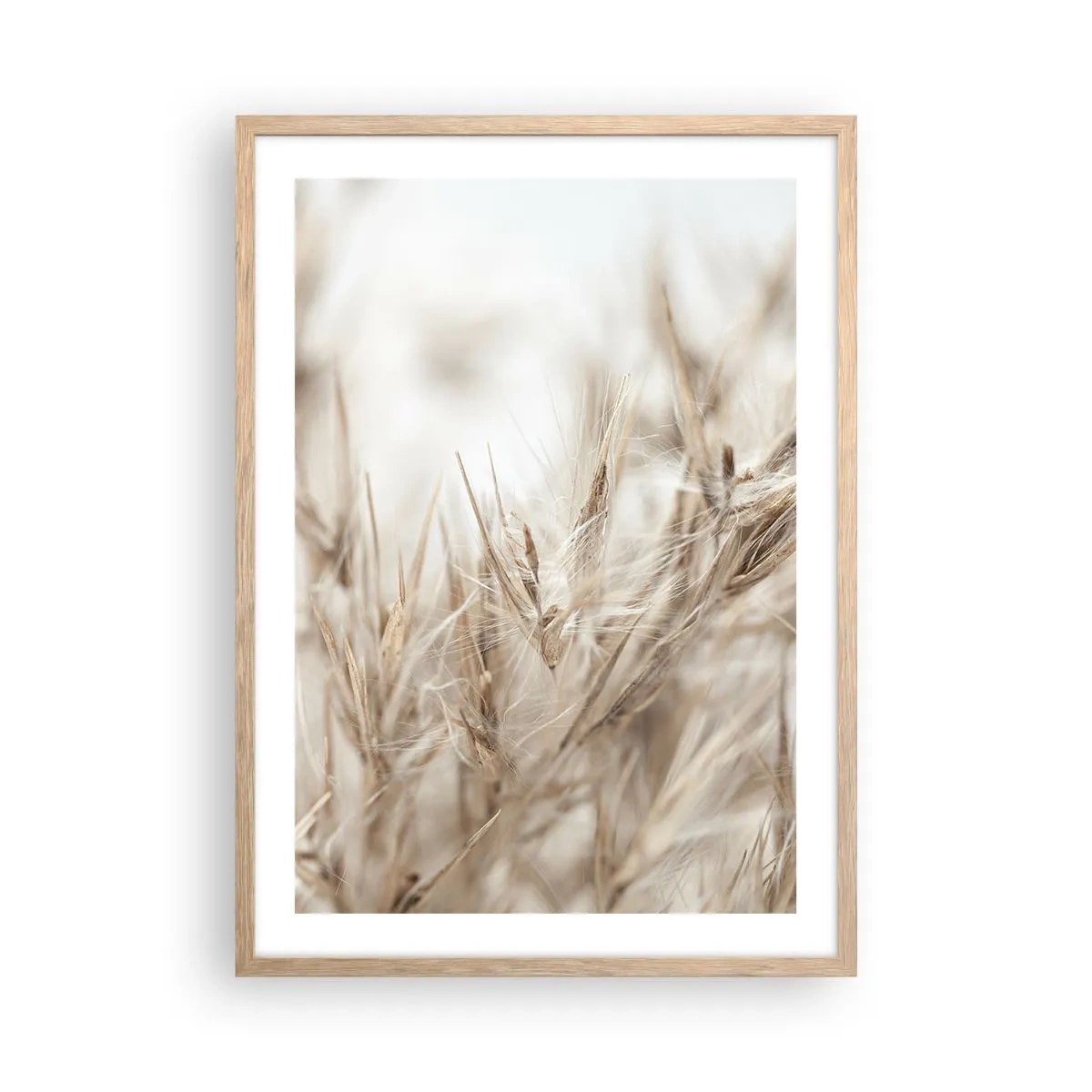 Poster in light oak frame - Meadow and Wind - 50x70 cm