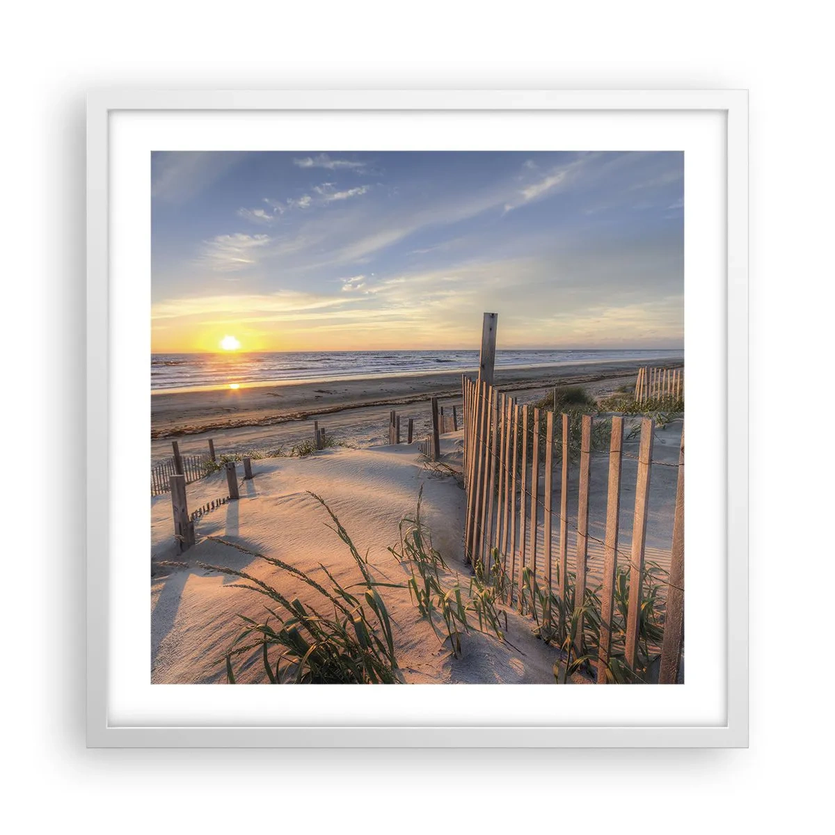 Poster in white frmae - Light and Shade of the Wind - 50x50 cm