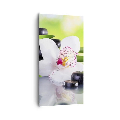 Canvas picture - Cool Freshness - 65x120 cm