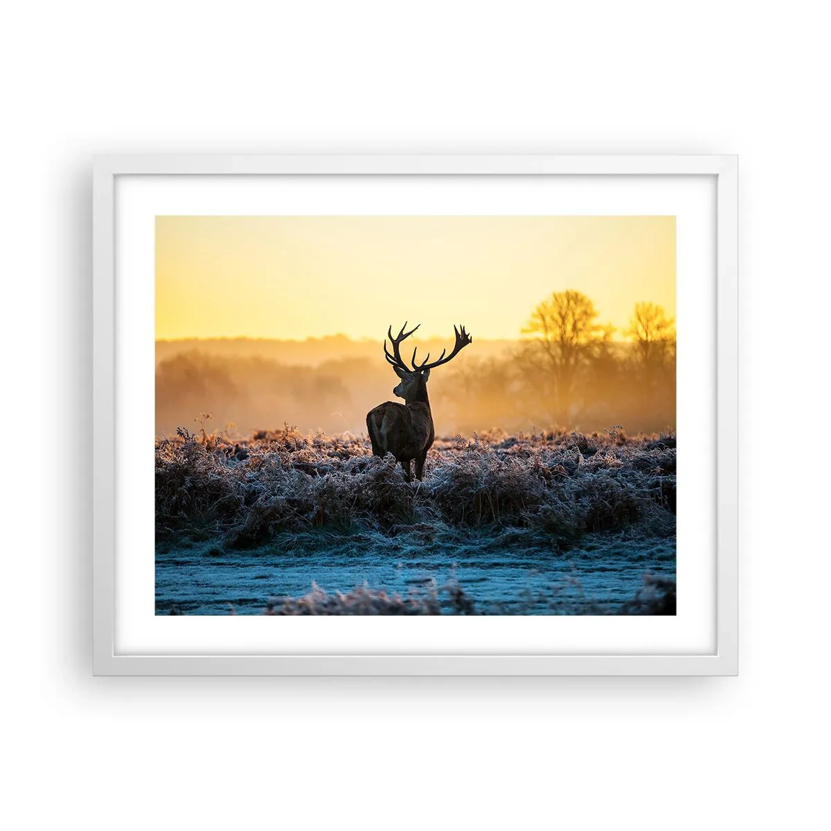 Poster in white frmae - Crowned in Its Kingdom - 50x40 cm