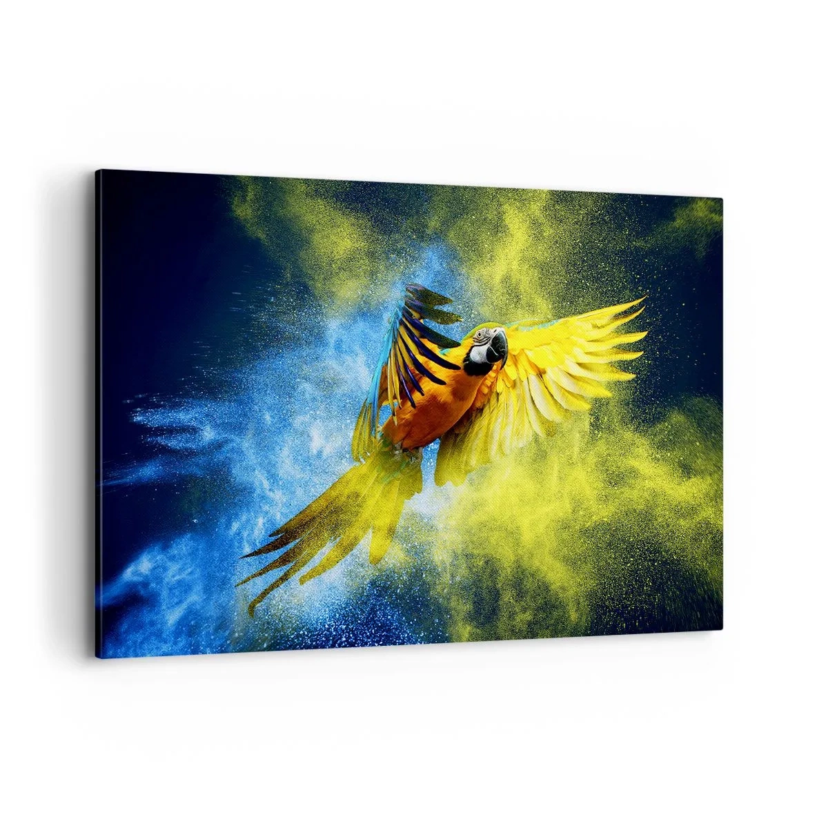 Canvas picture - In Blue and Gold Dust - 120x80 cm