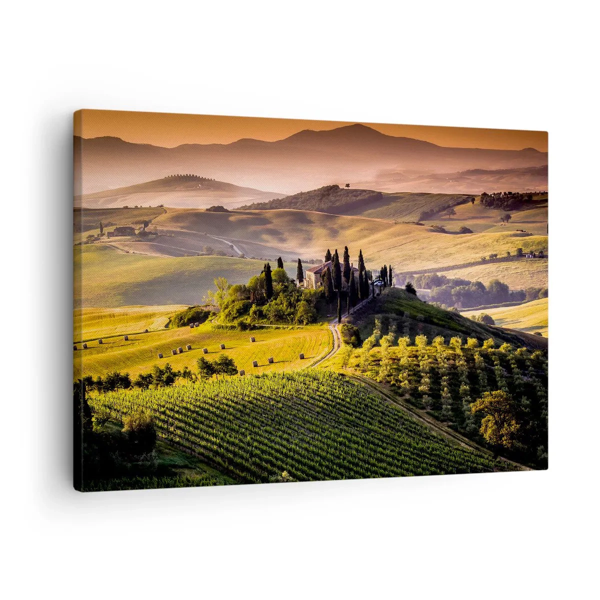 Canvas picture - Tuscan landscape with vineyards and a house on a hill - 70x50cm - Arcadia - Tuscan Landscape - Modern wall decoration for the living room and bedroom ARTTOR