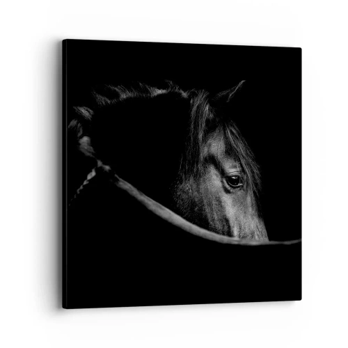 Canvas picture - Black Prince - 40x40 cm