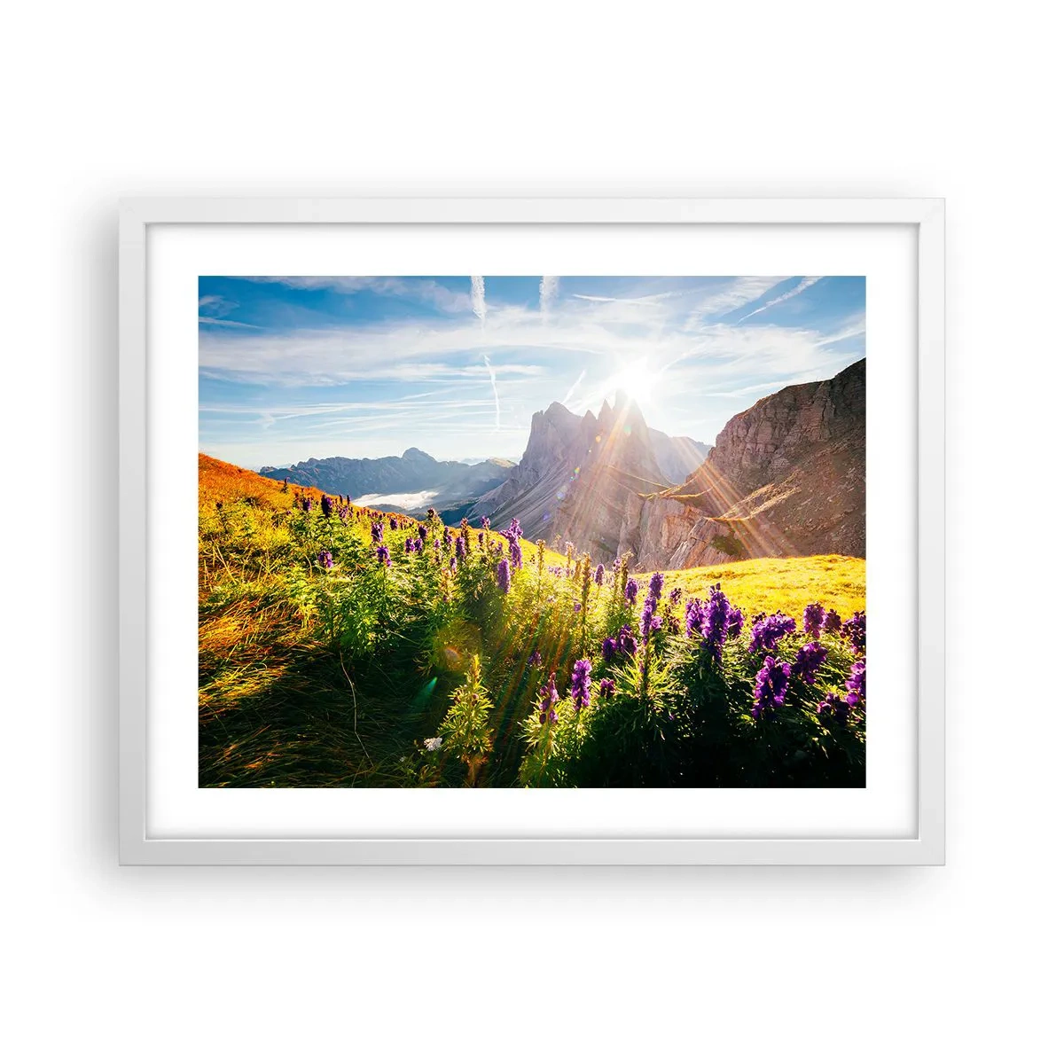 Poster in white frmae - Secret Life of Herbs - 50x40 cm