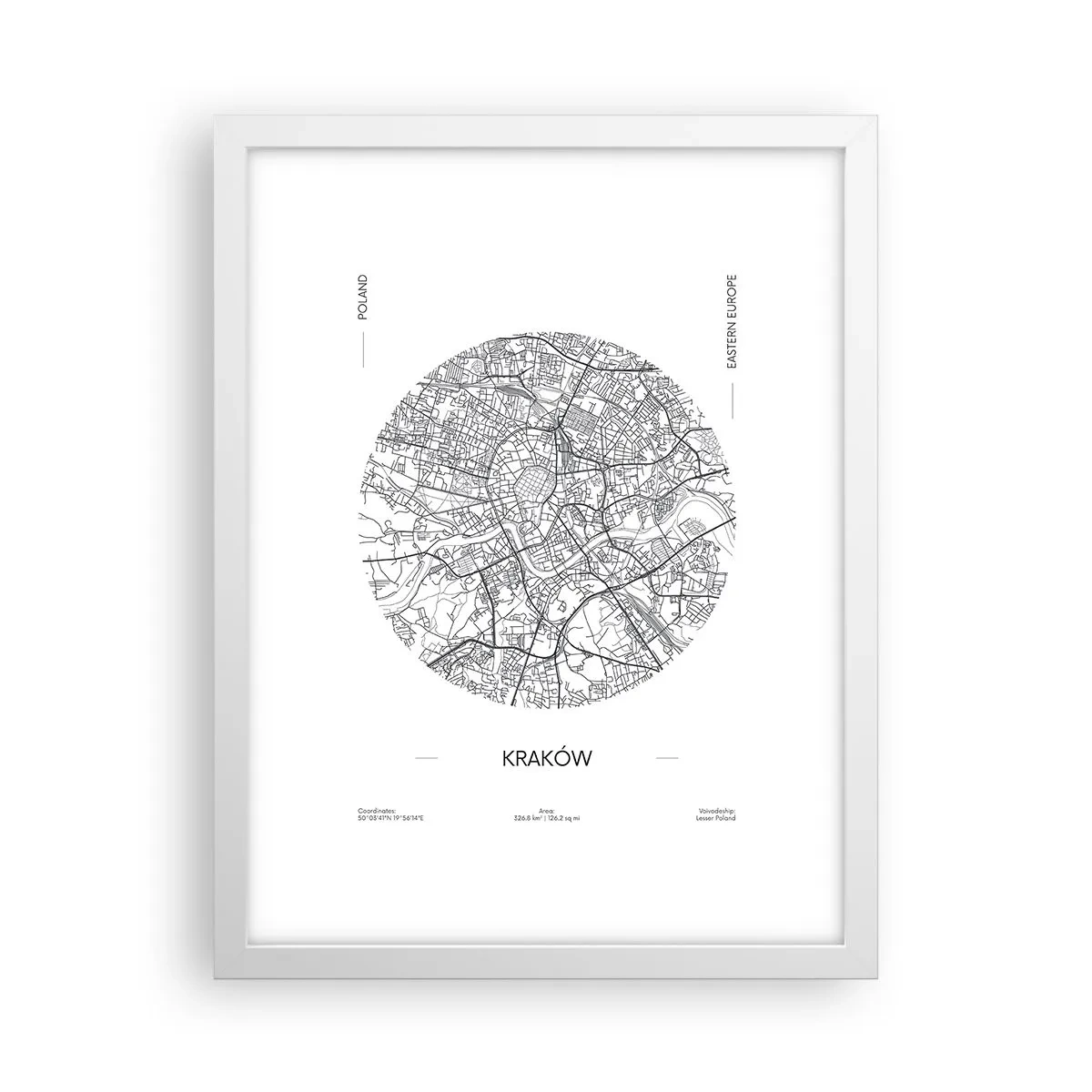 Poster in white frmae - Anatomy of Crocow - 30x40 cm