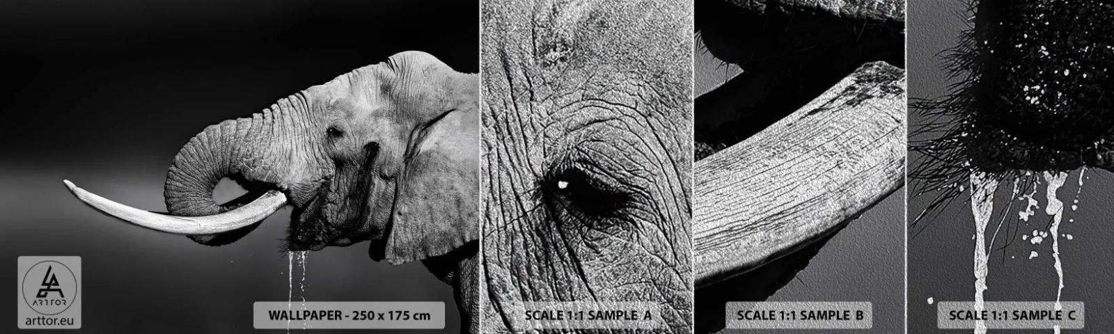 Photo Wallpaper Sample Premium Sand - Yes, That's Right - Animals, Elephant, Africa - 100x30 cm