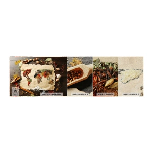 Photo Wallpaper Sample Premium Sand - All Flavours of the World - Gastronomy, World map, Dried Spices - 100x30 cm