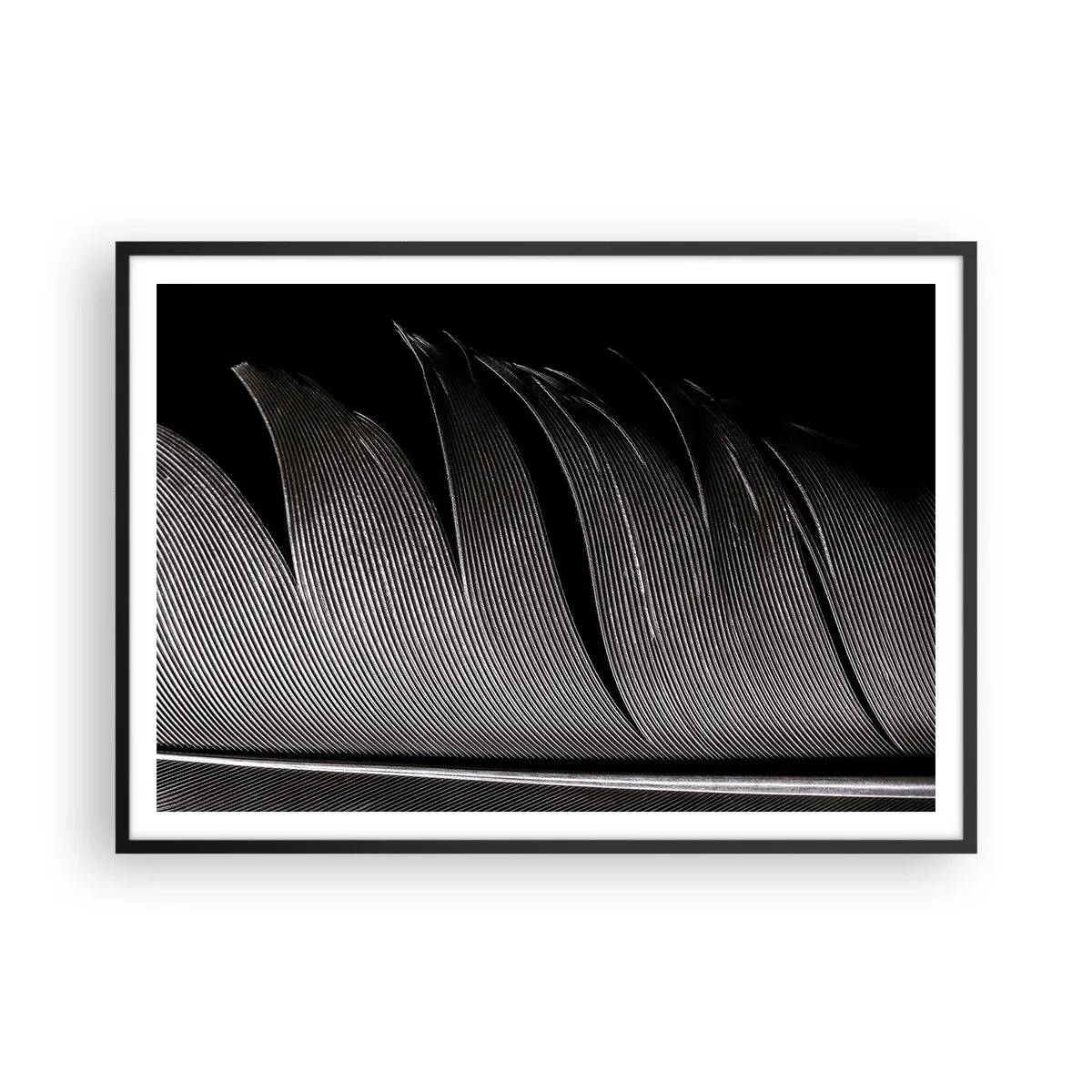 Poster in black frame - Feather - Wonderful Constract - 100x70 cm