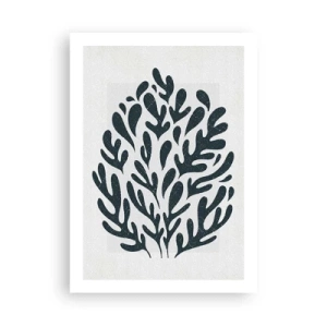 Poster - Shapes of Nature - 50x70 cm