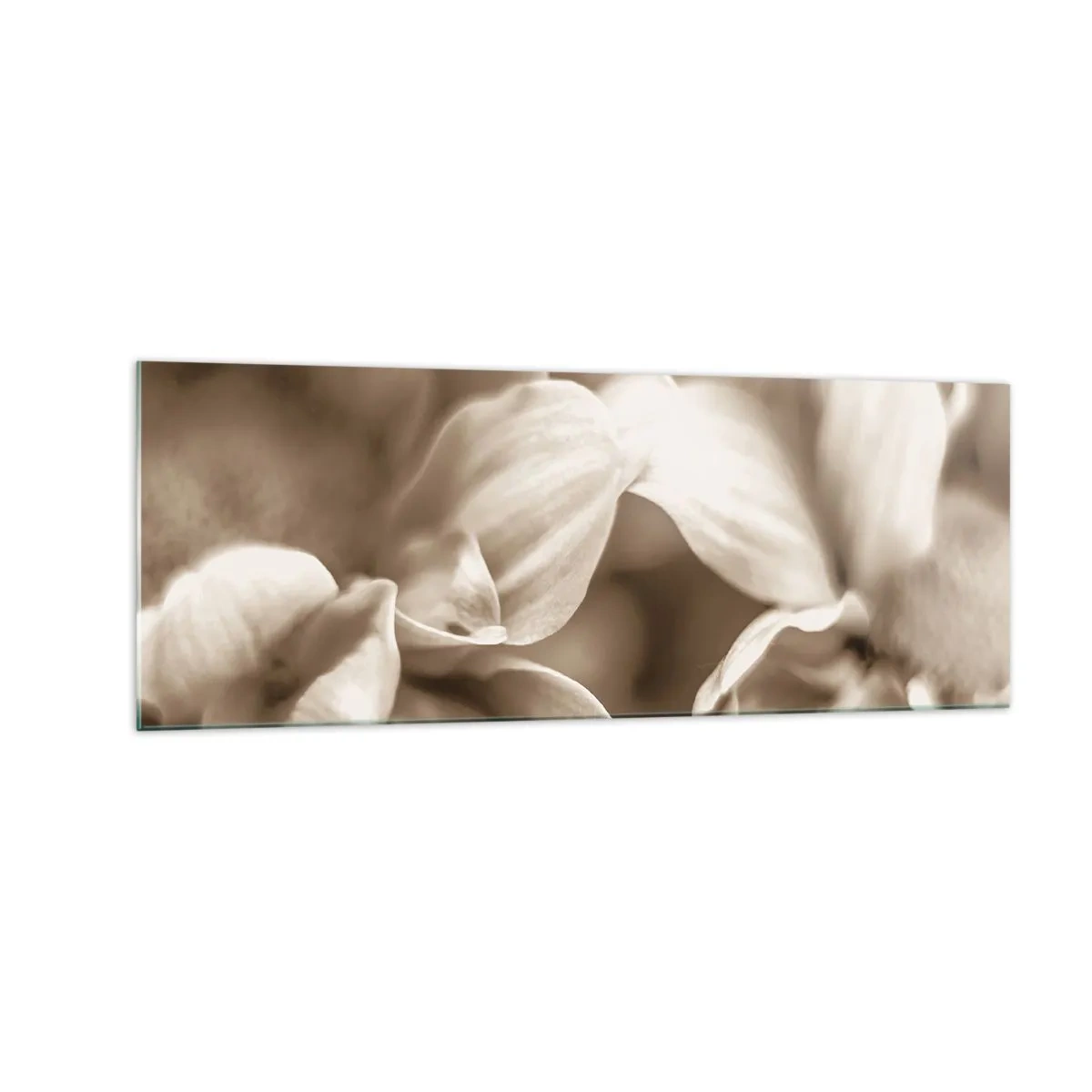 Glass picture - Soft as a Smile - 140x50 cm