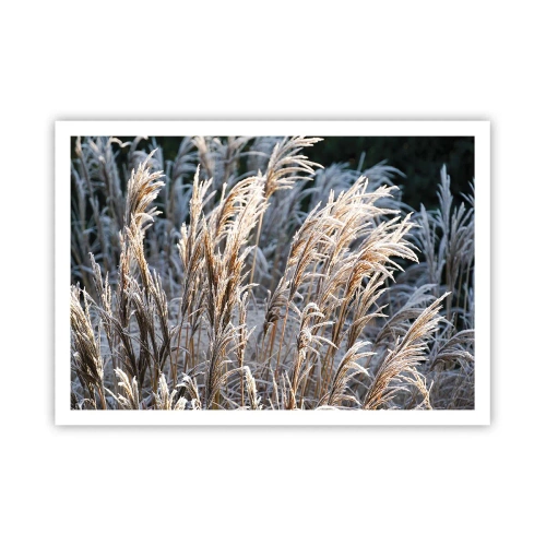 Poster - Decorated with Frost - 100x70 cm