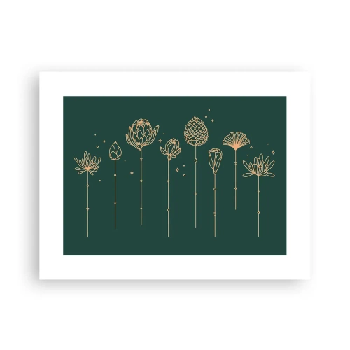 Poster - The Herb Family - 40x30 cm