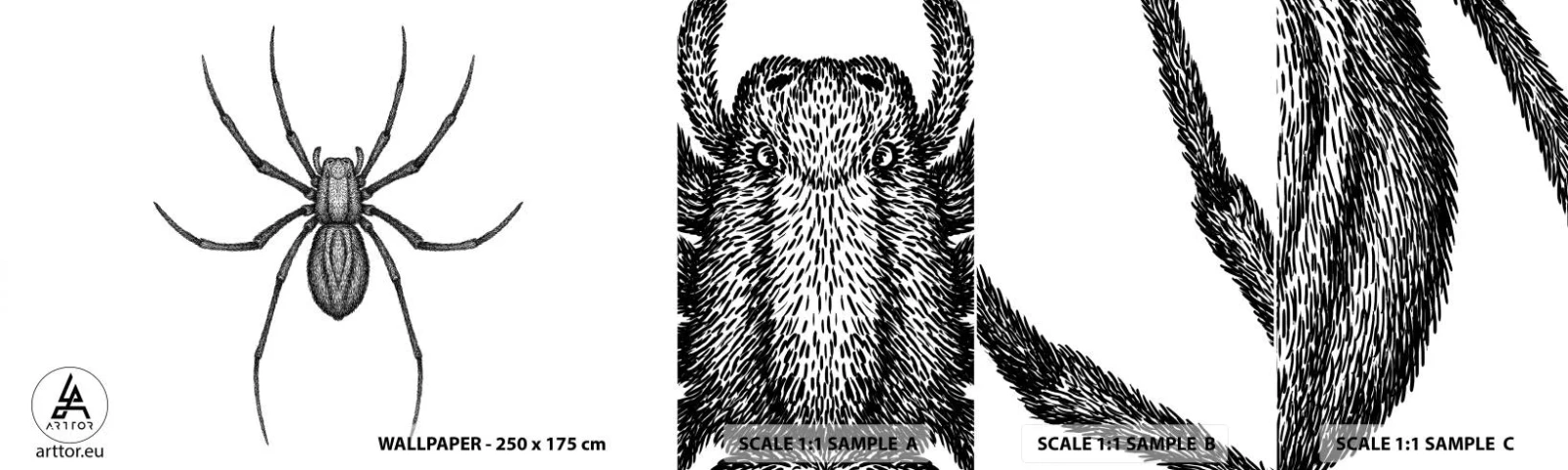 Photo Wallpaper Sample Self-Adhesive Deluxe Sticker - Disturbing Precision - Spider, Insect, Minimalistic - 100x30 cm