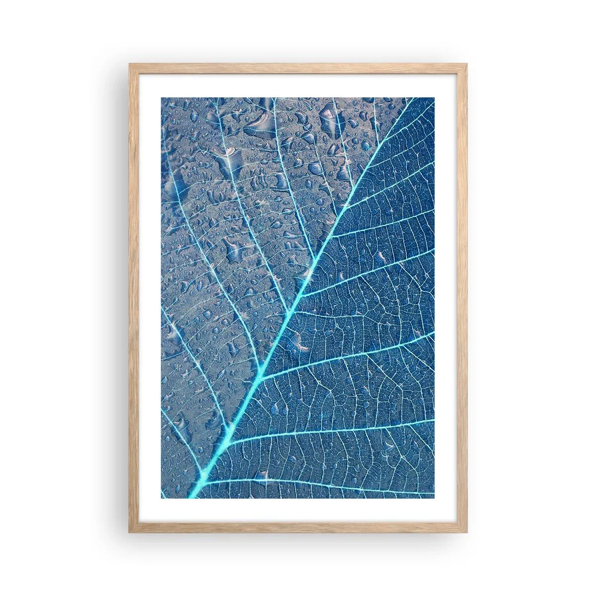 Poster in light oak frame - Life in the Blue - 50x70 cm