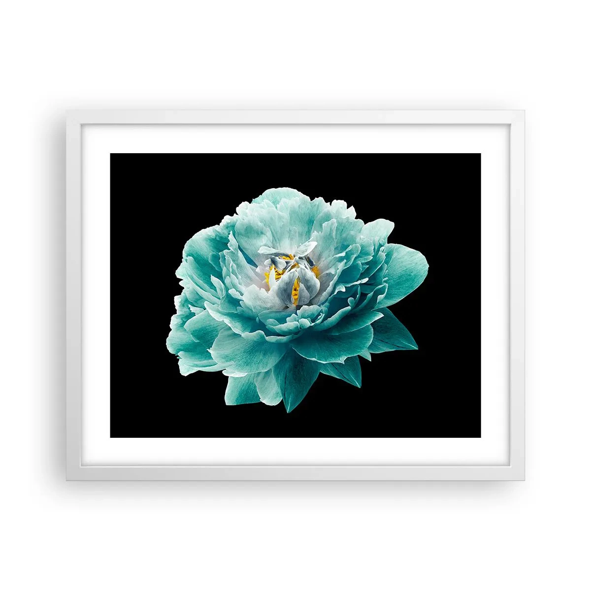 Poster in white frmae - Blue and Gold Petals - 50x40 cm