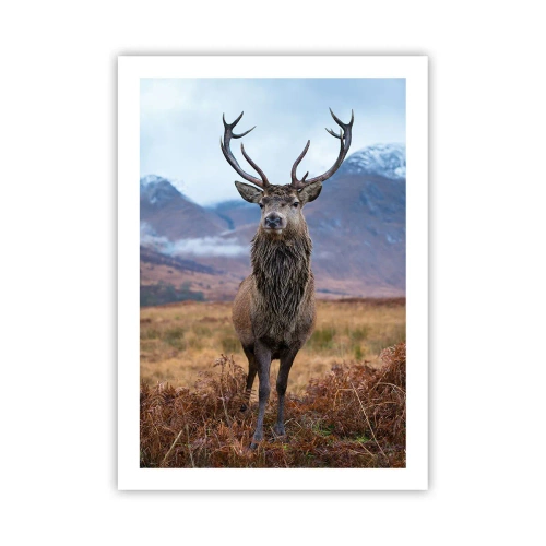 Poster - On Your Own Land - 50x70 cm