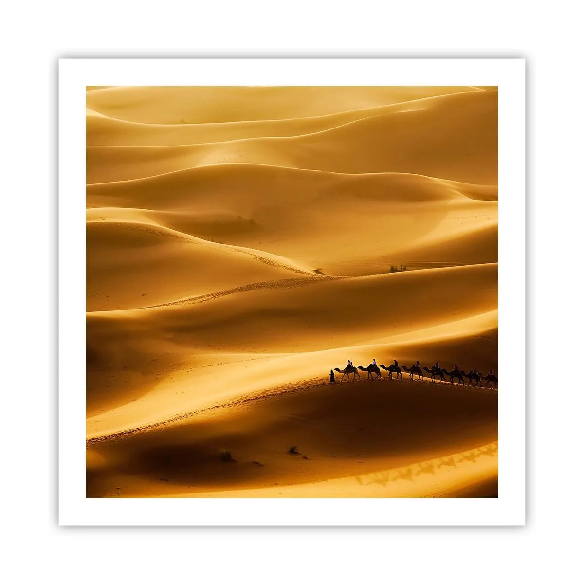 Poster - Caravan on the Waves of a Desert - 60x60 cm