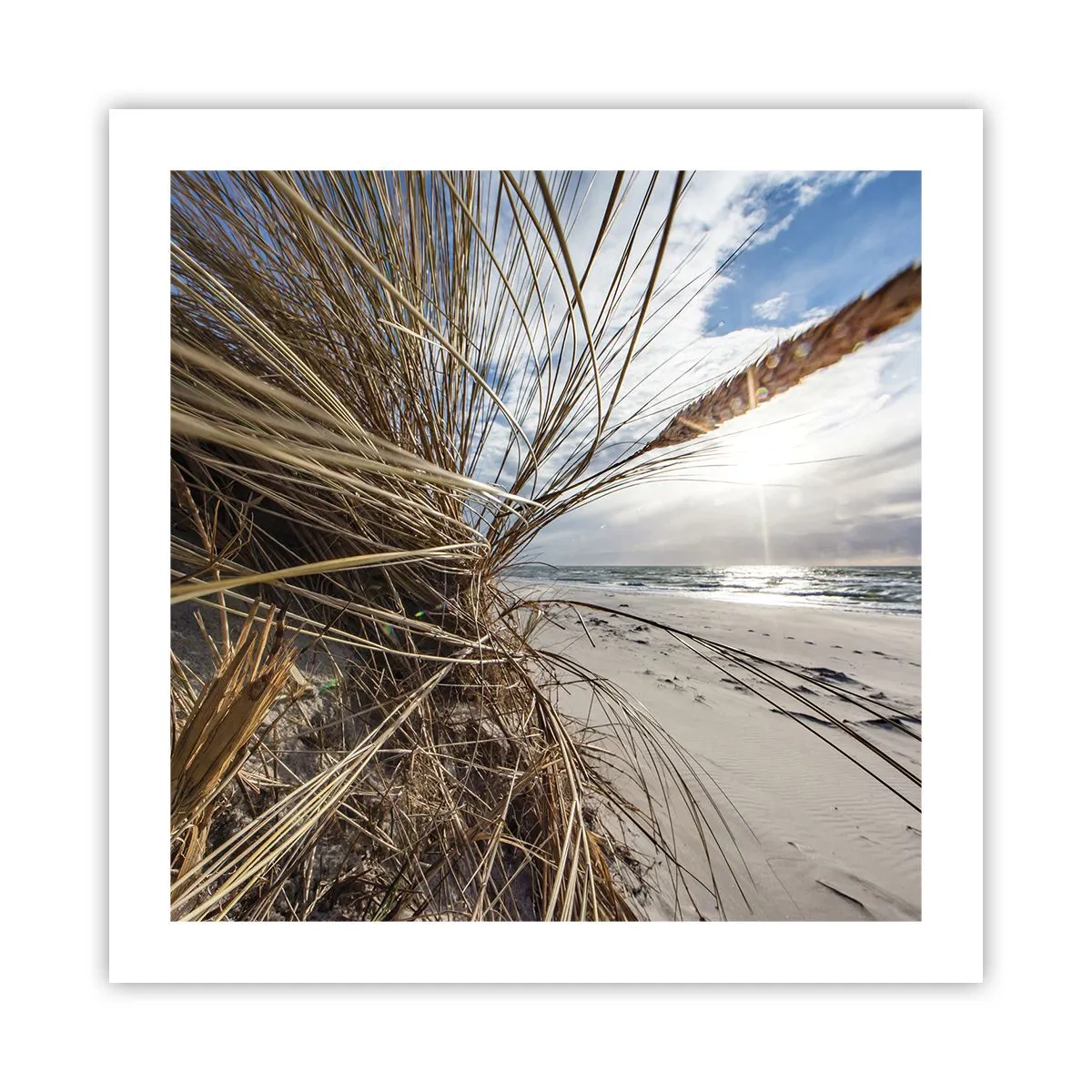 Poster - Enounter of the Elements - 50x50 cm