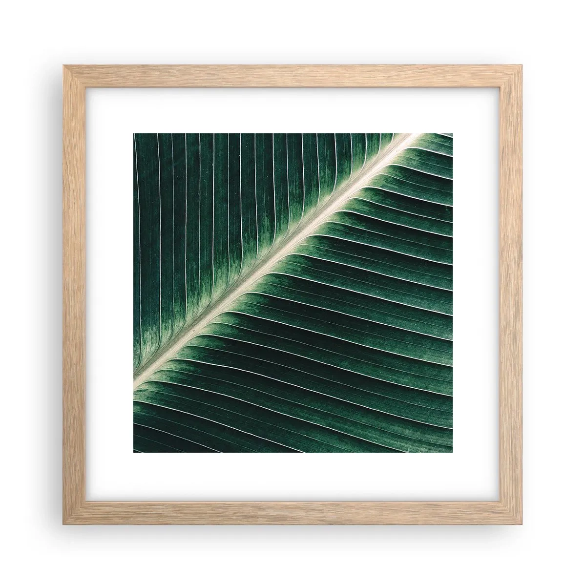 Poster in light oak frame - Rhythm of Nature - 30x30 cm