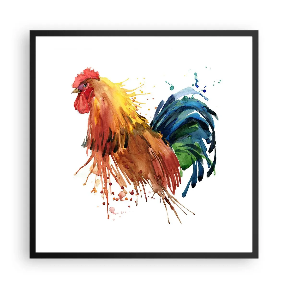 Poster in black frame - King Rooster - 60x60 cm