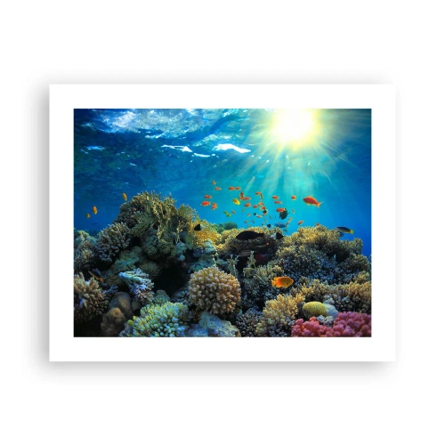 Poster - Underwater Treasures - 50x40 cm