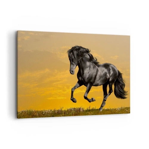 Canvas picture - Beautiful, Free and Wild - 120x80 cm