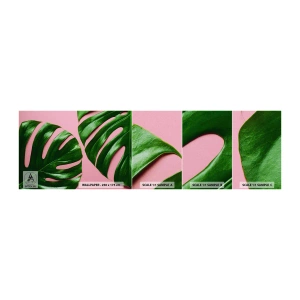 Photo Wallpaper Sample Self-Adhesive Deluxe Sticker - Green Rendezvous - Monstera, Green leaf, Exotic Plant - 100x30 cm