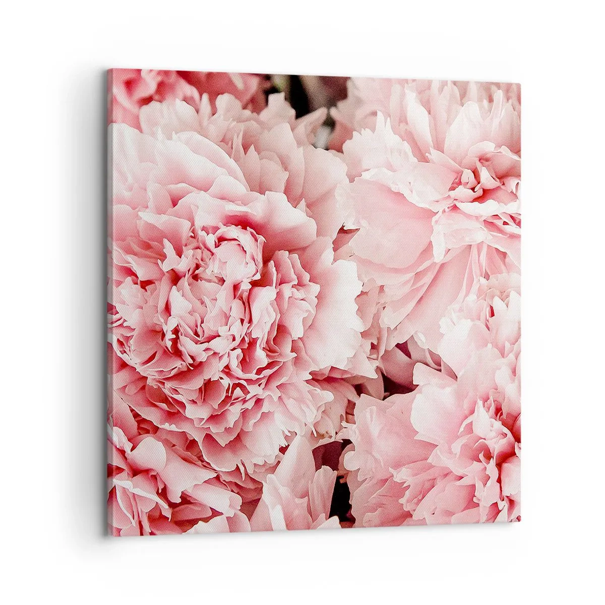 Canvas picture - Pink Dreams - 60x60 cm