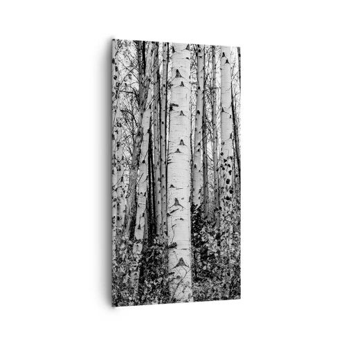 Canvas picture - Birch Colonnade - 65x120 cm
