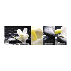Photo Wallpaper Sample Self-Adhesive Deluxe Sticker - Study in Black and White - Flowers, Stones, Orchid - 100x30 cm