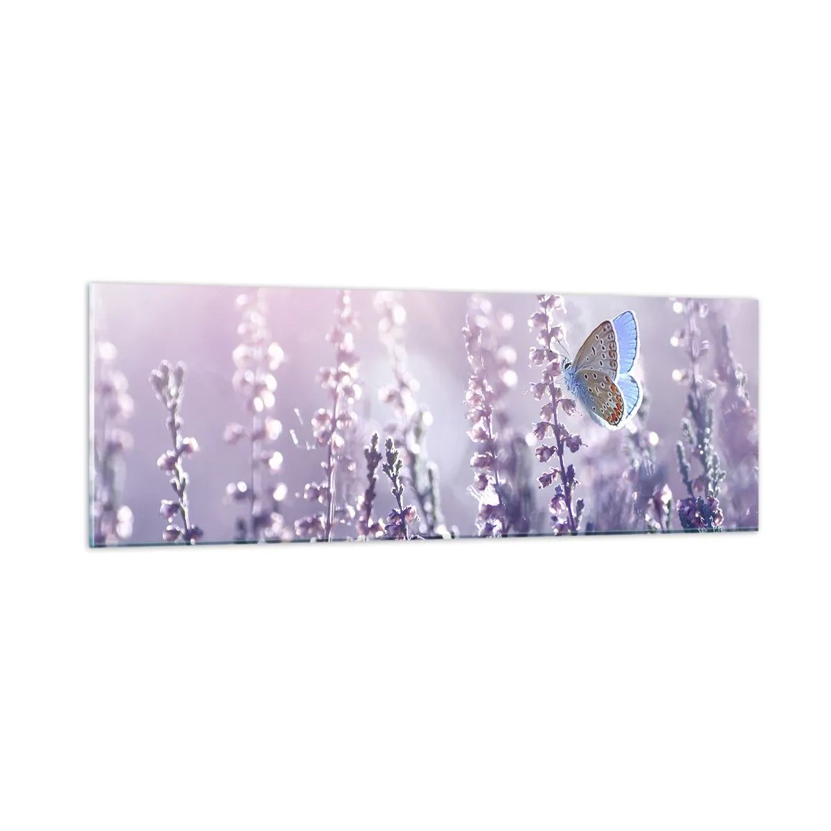 Glass picture - Kiss of a Butterfly - 90x30 cm