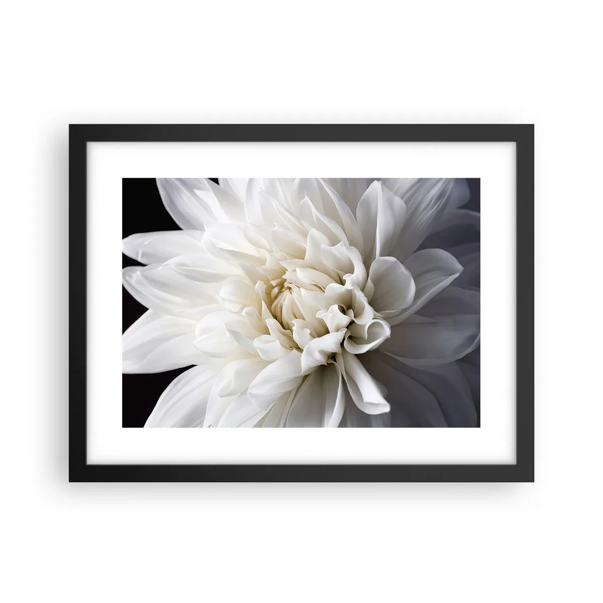 Poster in black frame - Bride's Morning - 40x30 cm