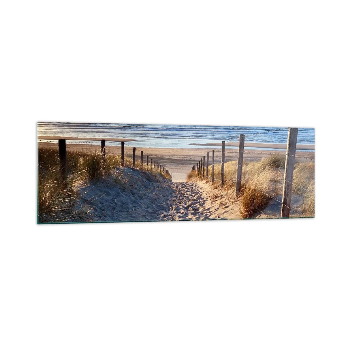 Glass picture - Sound of the Sea, Singing of the Birds, Wild Beach among Grass - 160x50 cm
