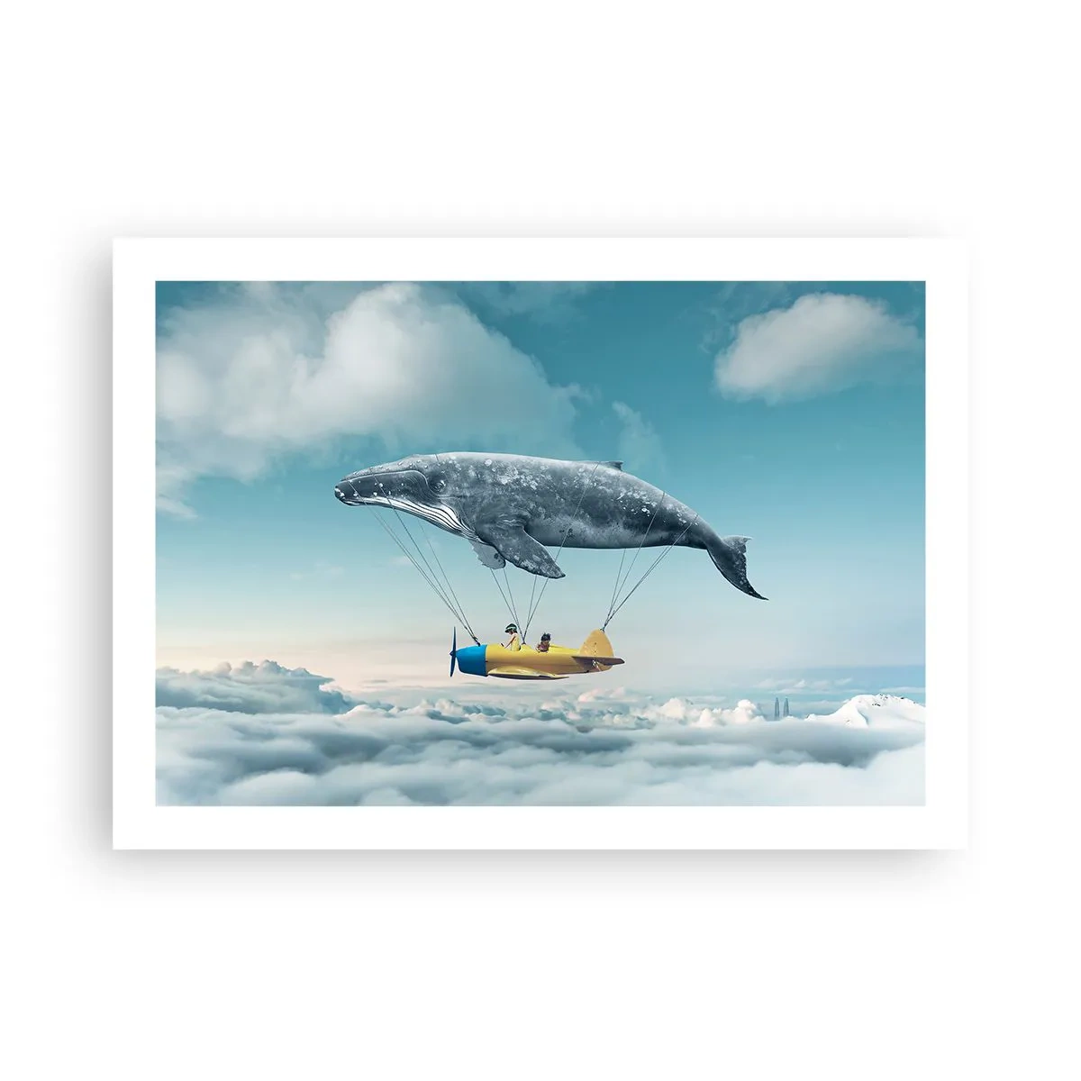 Poster - Why Not? - 70x50 cm