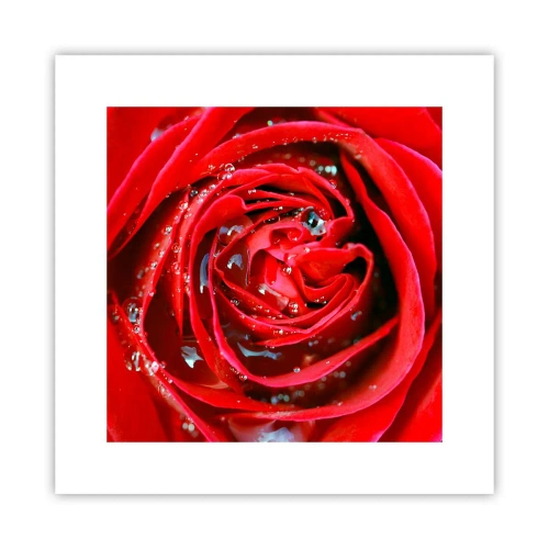 Poster - In Dew Drops - 30x30 cm
