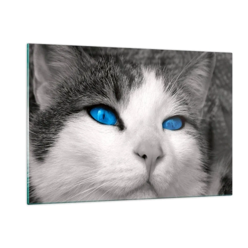 Glass picture - Extremely Blue-eyed - 120x80 cm