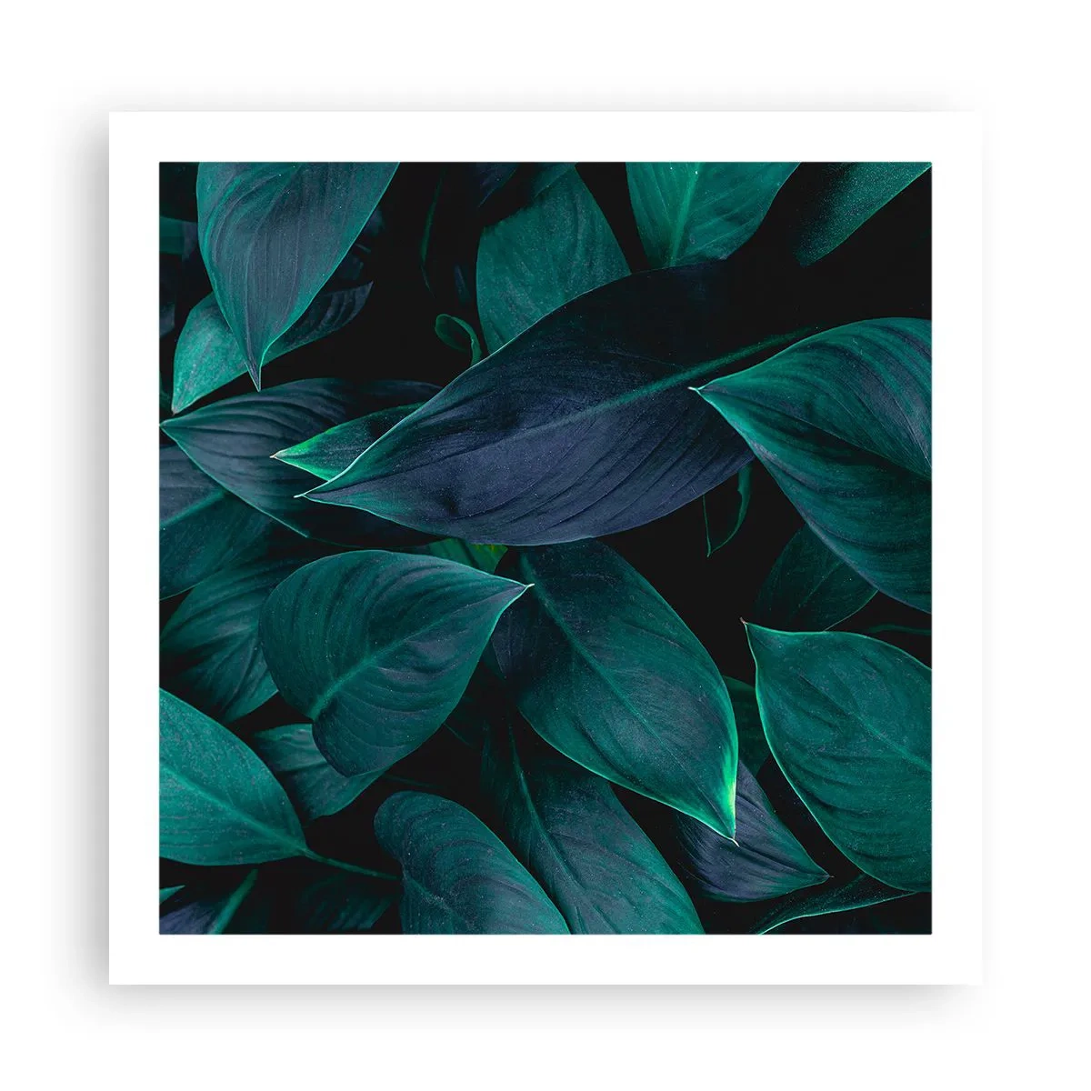 Poster - The Green Itself - 60x60 cm