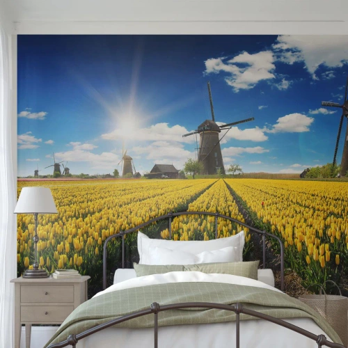 Photo Wallpaper Standard Eco - It Can't Be More Dutch - Landscape, Fan, Tulips - 300x210 cm